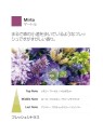 Ricarica Diffusore a Bastoncino 100ml Mirto