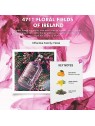 4711 Acqua Colonia Intense Edc Spray Floral Fields of Ireland 170ml 4711 www.essenzetotalstyle.com 