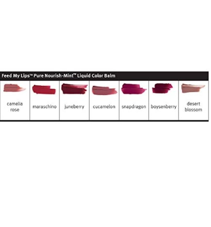 Aveda Feed My Lips Balsamo Colorato Nutriente per Labbra Gloss Naturale 05 Cucamelon 10ml donna