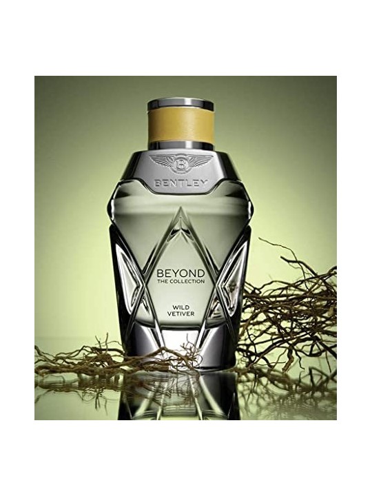 Bentley Wild Vetiver Java eau de parfum Spray 100ml The Beyond Collection