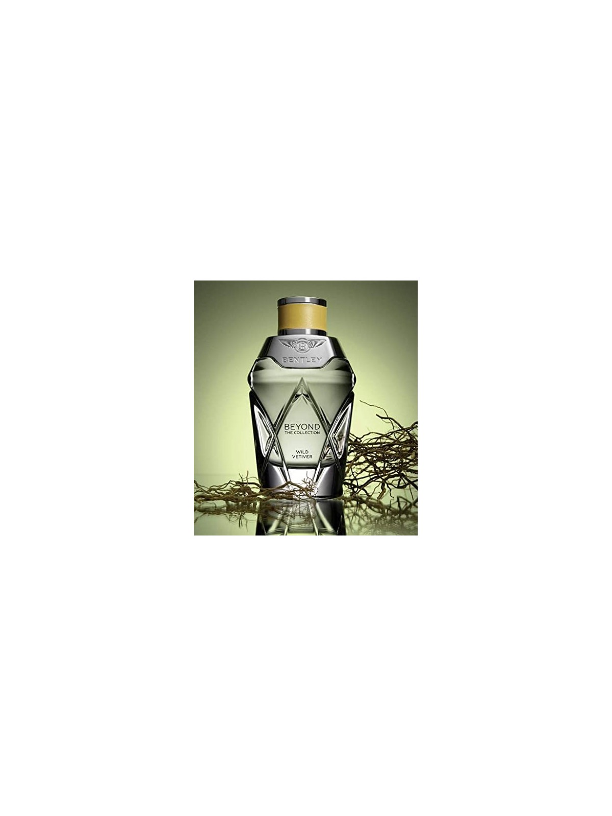 Bentley Wild Vetiver Java eau de parfum Spray 100ml The Beyond Collection