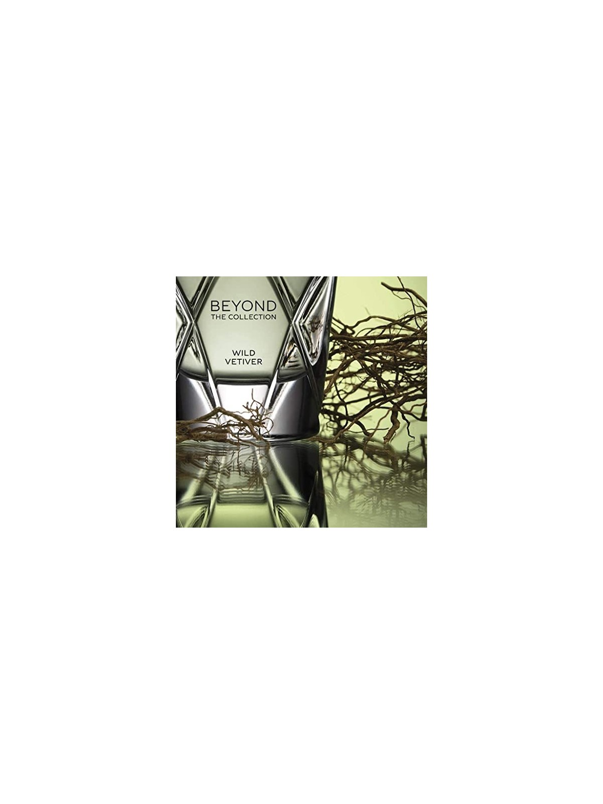 Bentley Wild Vetiver Java eau de parfum Spray 100ml The Beyond Collection