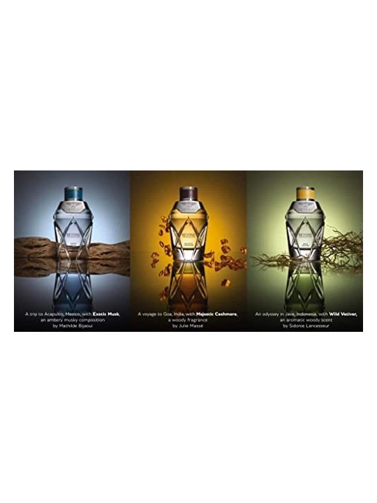 Bentley Wild Vetiver Java eau de parfum Spray 100ml The Beyond Collection