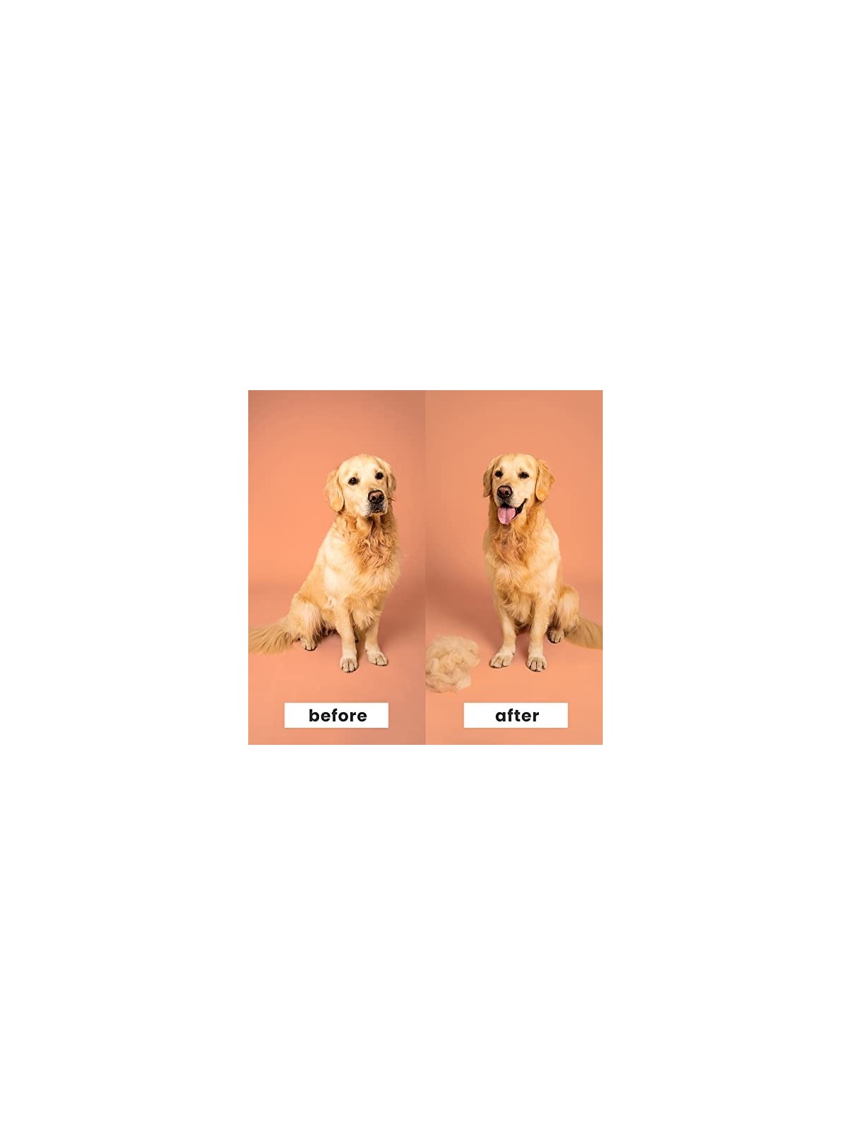 Pet Teezer for Small Pets Blue