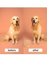 Pet Teezer for Small Pets Blue
