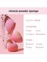 Spugna in Polvere Miracolosa Real Techniques