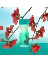 VICKY MARTIN BERROCAL Agua Eau De Toilette Spray 100ml Unisex