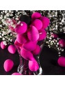 IBRA Makeup Spugnetta per il trucco Beauty Blender