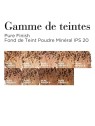 Fondotinta minerale Elizabeth Arden PURE FINISH 7