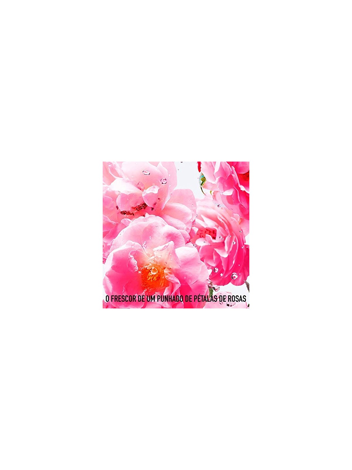 Dior Miss Dior Rose N'Roses Eau De Toilette Spray Donna 50ml
