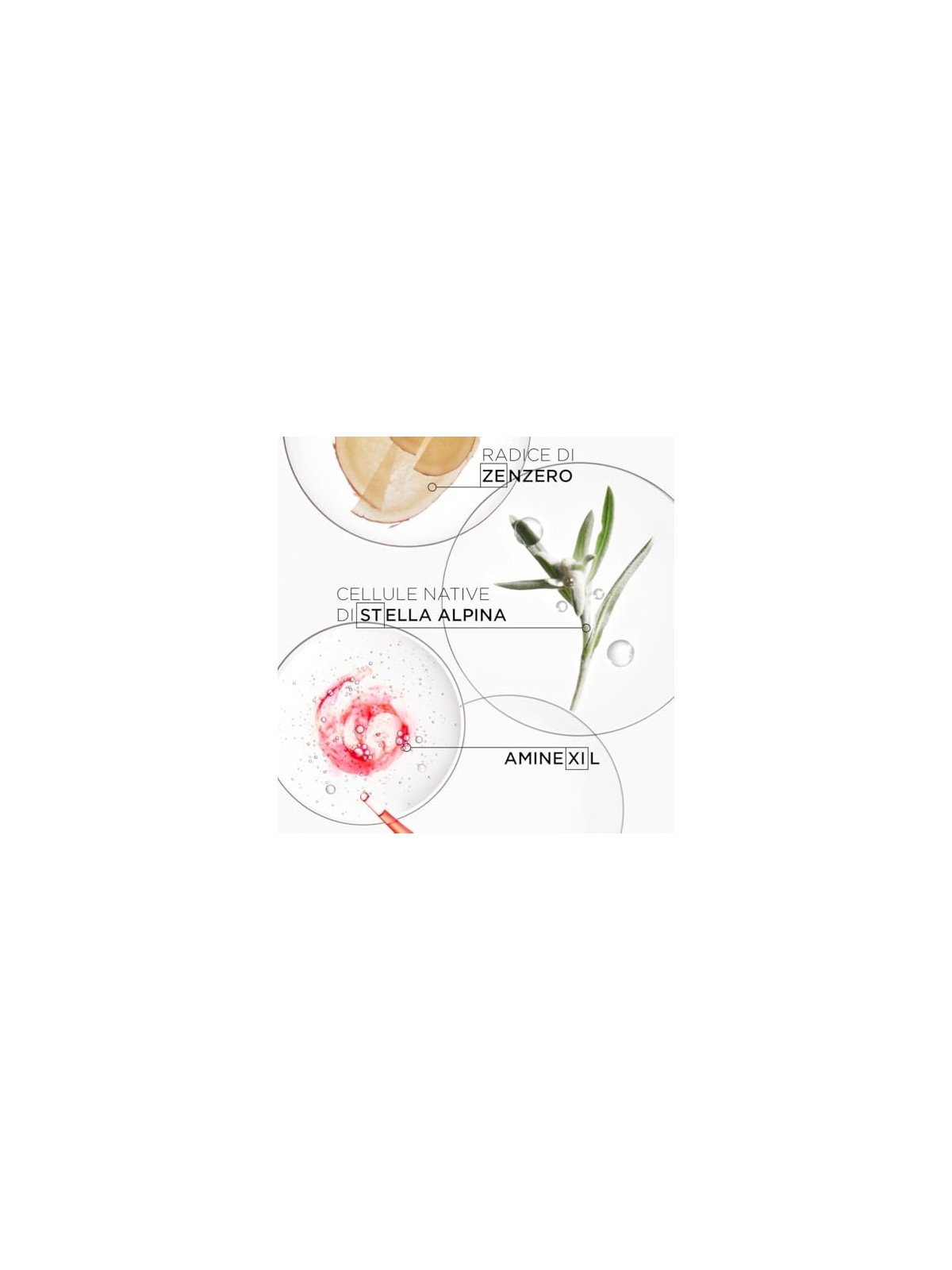 Kï¿½ï¿½rastase Paris Genesis Bain Hydra-Fortificante 250 ml