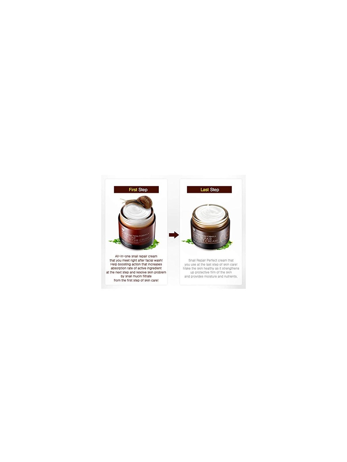 Crema rigenerante alla bava di lumaca 50ml