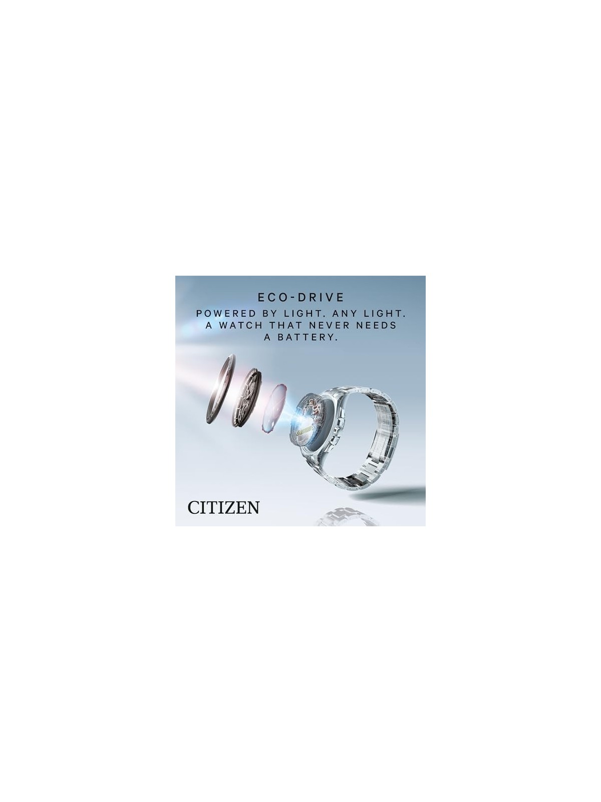 Citizen Eco-Drive EM0500-73A acquista 