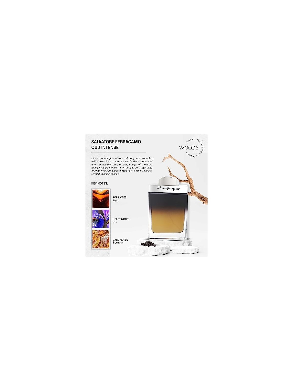Salvatore Ferragamo Pour Homme Oud EDP Uomo 100ml
