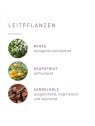 Olio essenziale Primavera Yoga Flow per donna 5ml