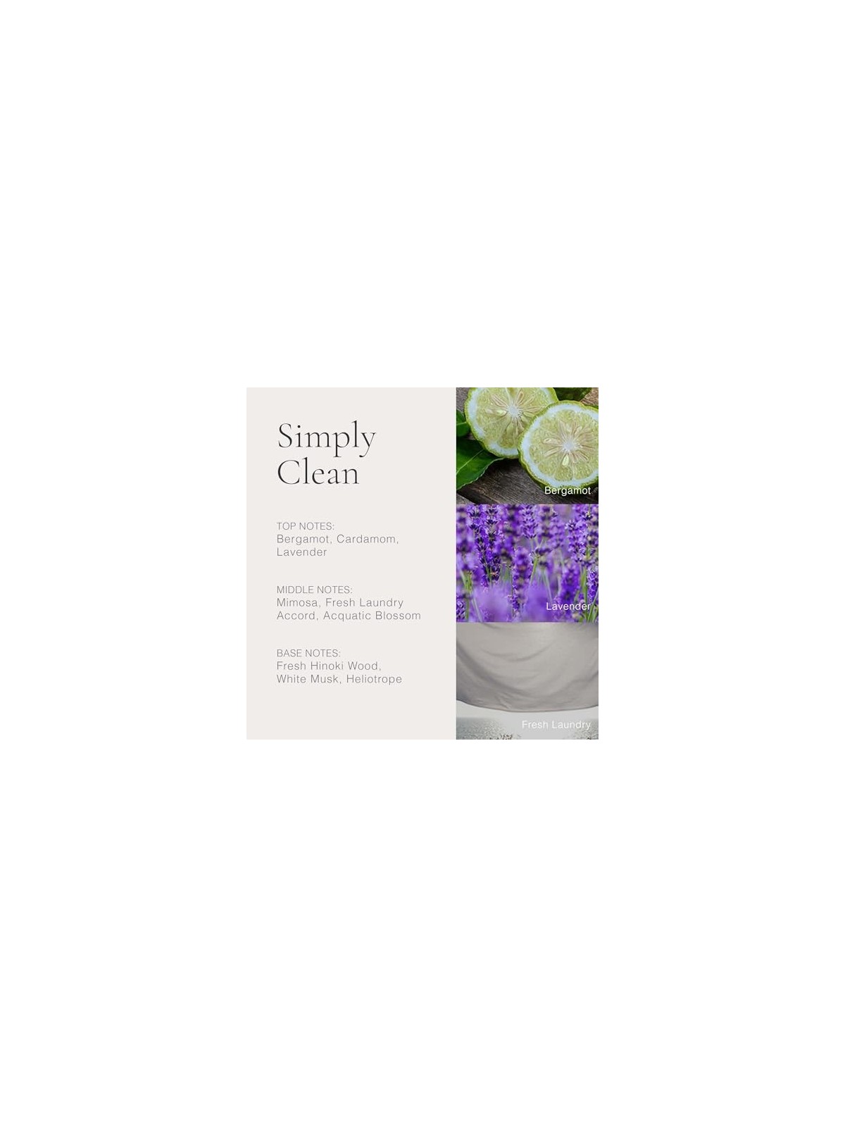Parfum CLEAN Simply Clean 60ml per donna