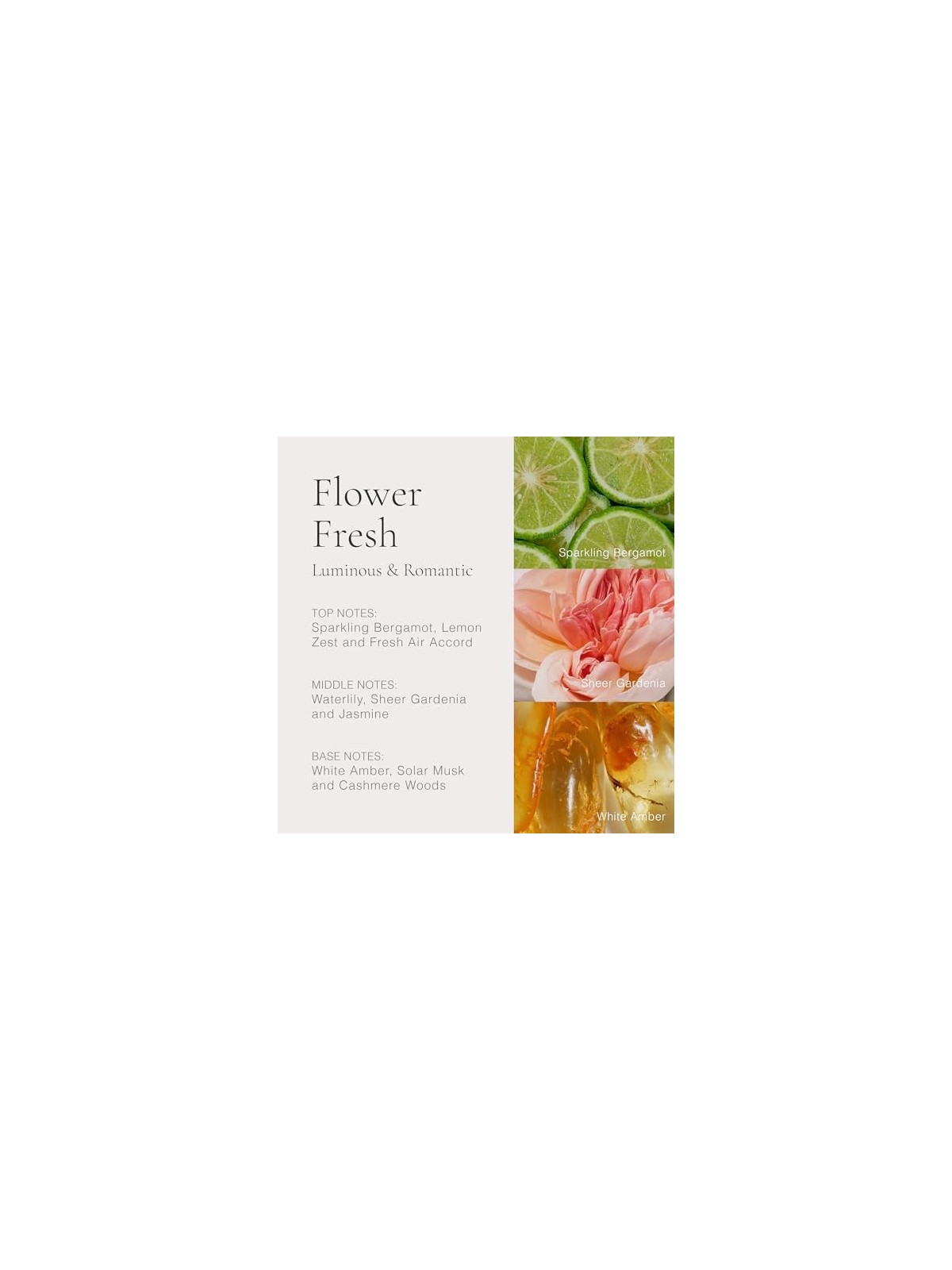 Clean Classic Flower Fresh eau de parfum Spray donna 30ml
