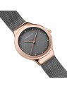 Bering Classic 12934-369 acquista 