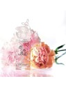 Lolita Lempicka LolitaLand Oh Ma Biche Eau de Parfum Donna 50ml