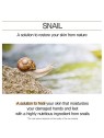 Mizon Snail Hand and Foot Cream 100ml