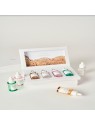 Madagascar Centella Ampoule Kit mini ampoule 4 types