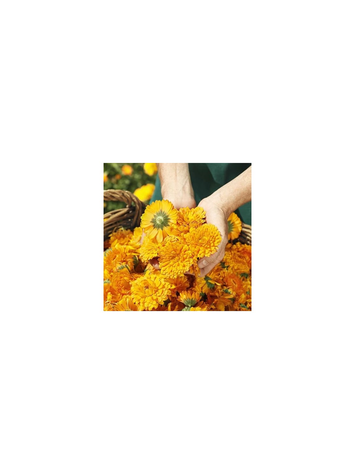Crema Cambio Pannolino Calendula Weleda Baby unisex 75ml