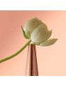 Issey Miyake Nectar D'Issey Premiere Fleur EDP 90ml