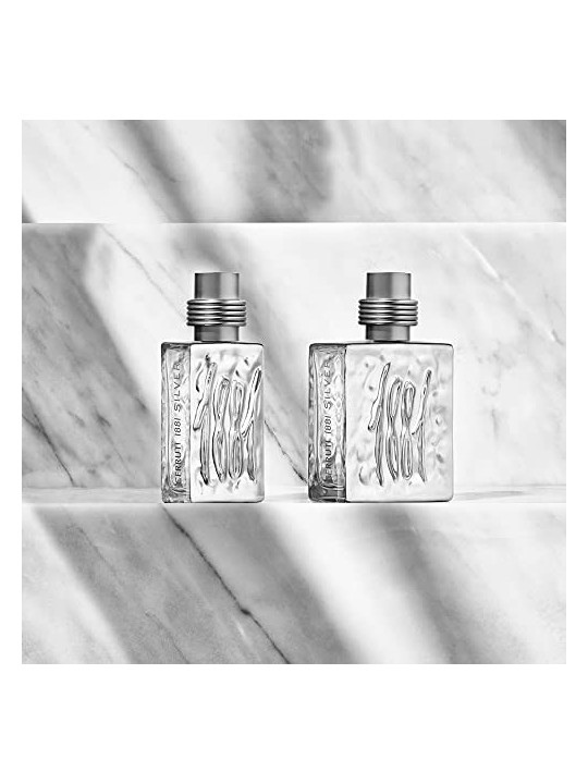 Cerruti 1881 Silver EDT 100ml