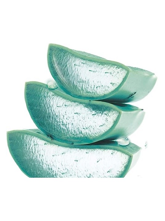 Hyaluronic Aloe Gel Gel detergente 200ml