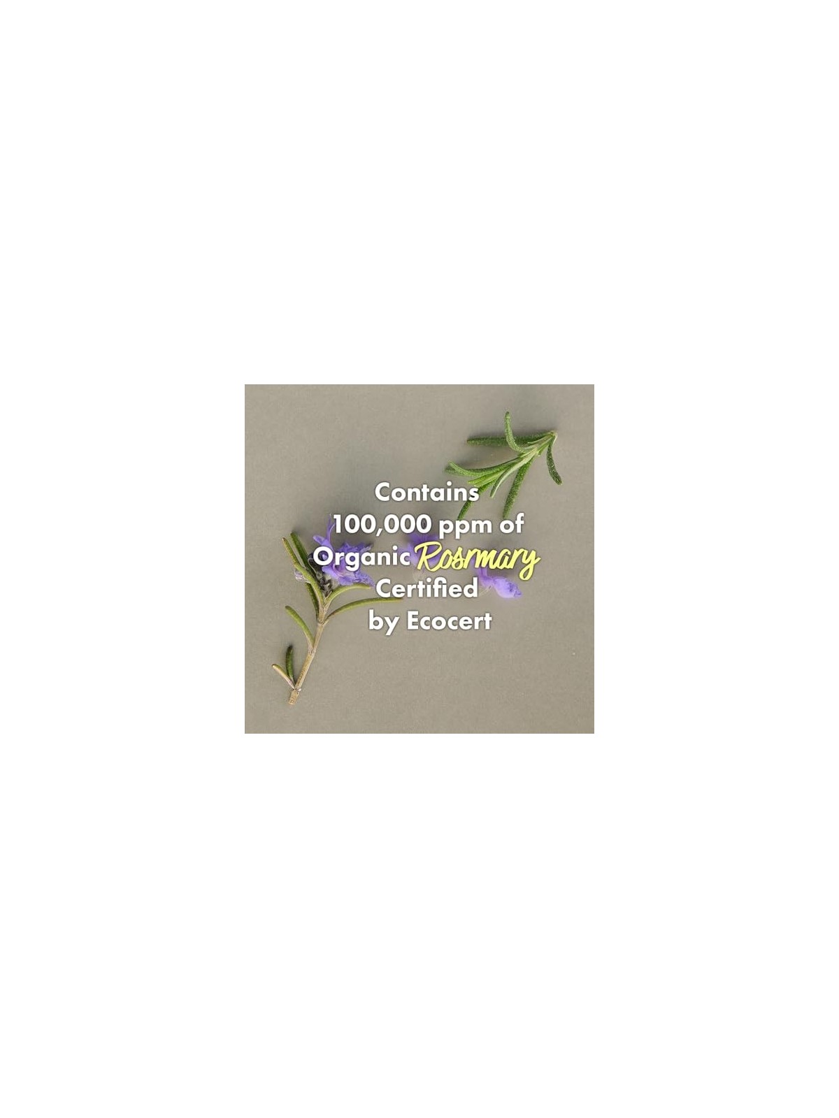 Rated Green Cold Brew Rosmarino Equilibrante Cuoio Capelluto 200ml Donna
