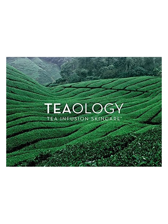 Teaology MATCHA LEMON set 2 unit donna