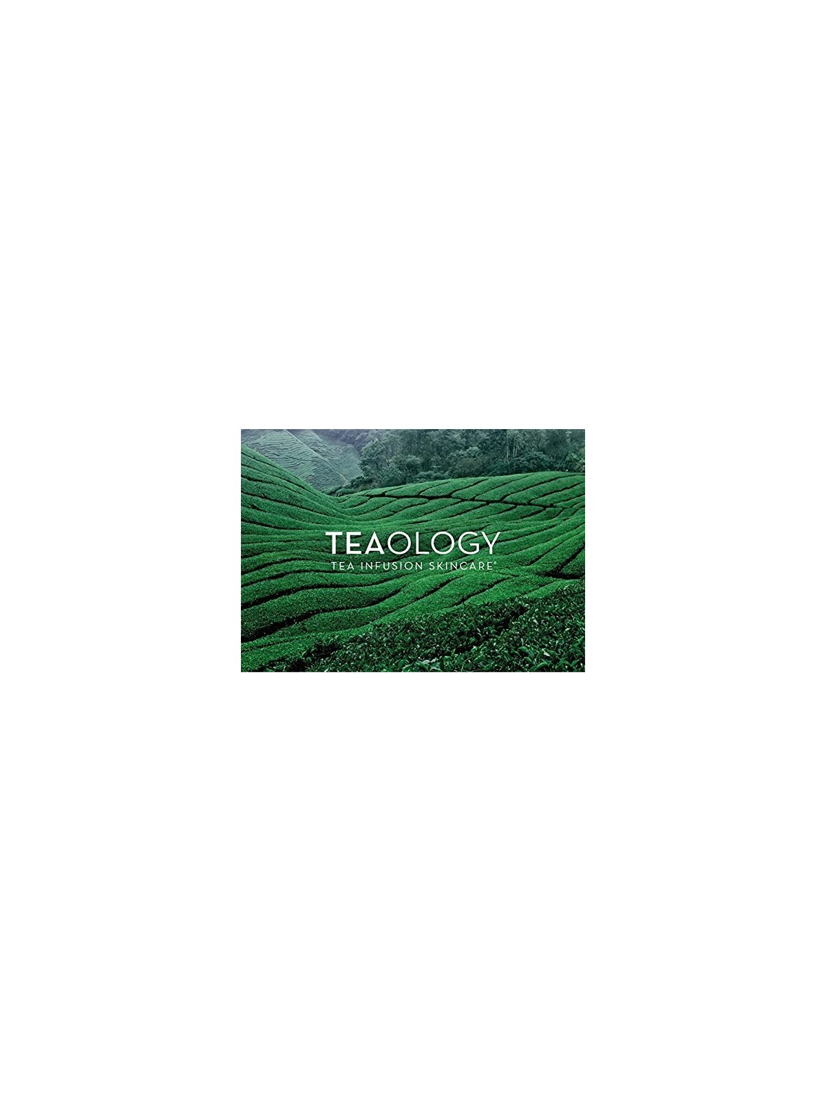 Teaology MATCHA LEMON set 2 unit donna