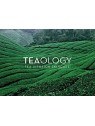 Teaology MATCHA LEMON set 2 unit donna