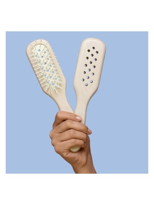 Philip Kingsley Spazzola per Capelli Ventilata