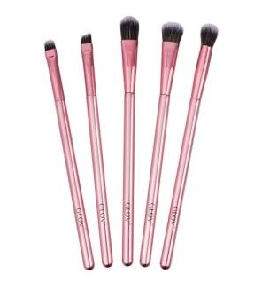 Set di pennelli trucco 5 pezzi Rosa