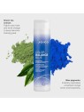 Joico Shampoo blu bilanciamento del colore donna 300ml