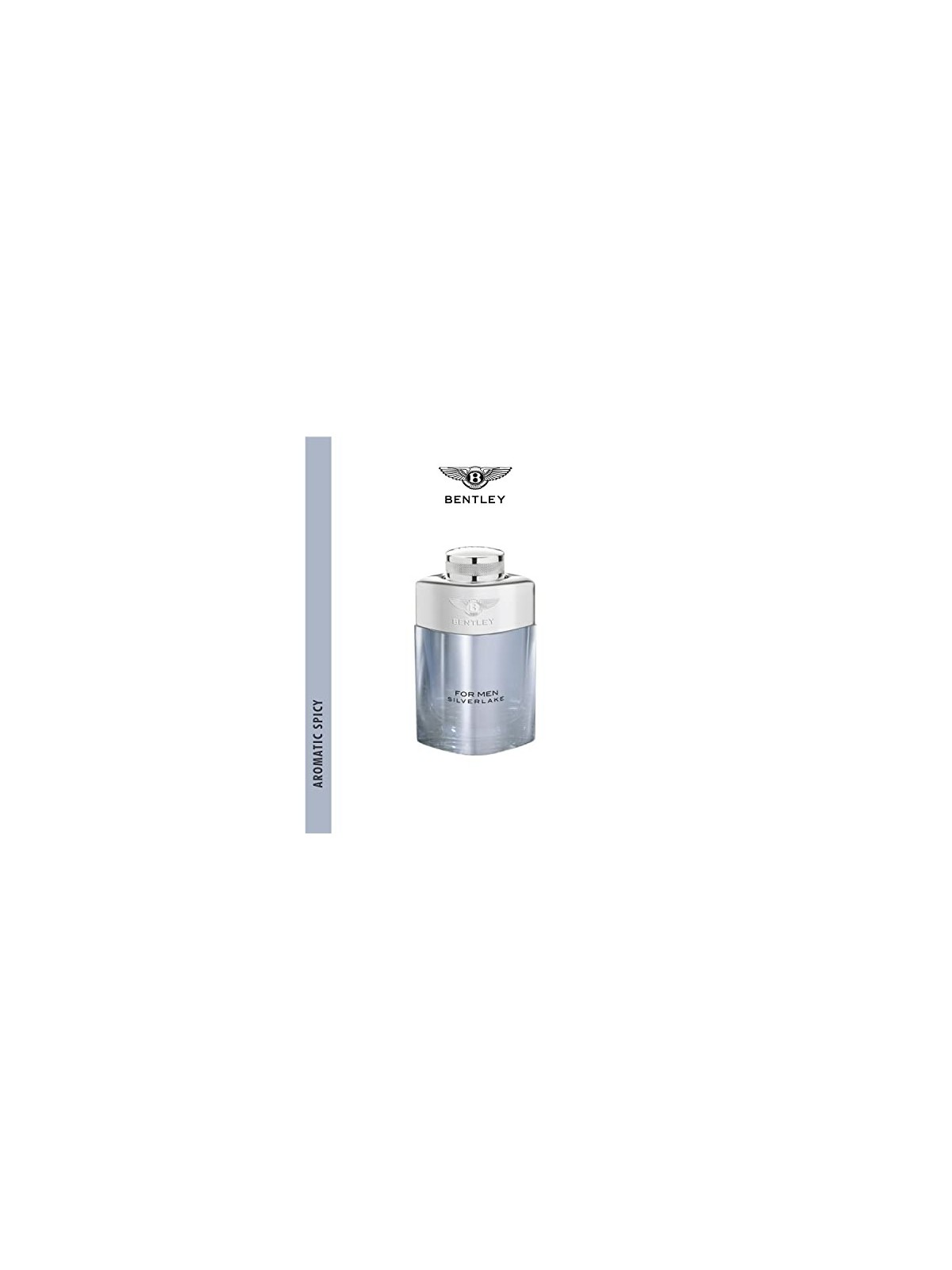 Bentley For Men Silverlake eau de parfum uomo 100ml
