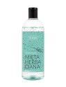 Gel doccia Tea Mint Ziaja 500ml
