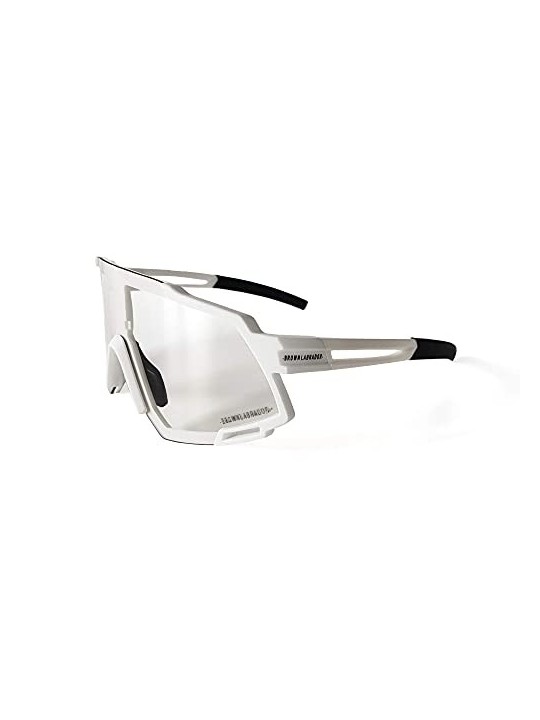 Brown Labrador F RACE blanco-negro 1 unit unisex
