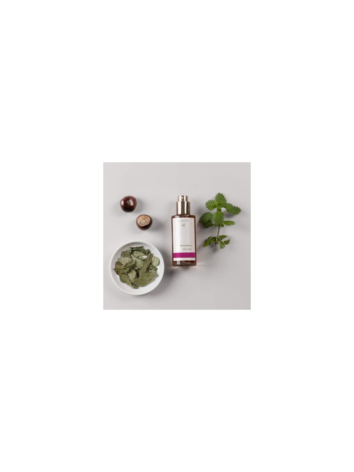 Dr Hauschka Hair Tonic 100ml