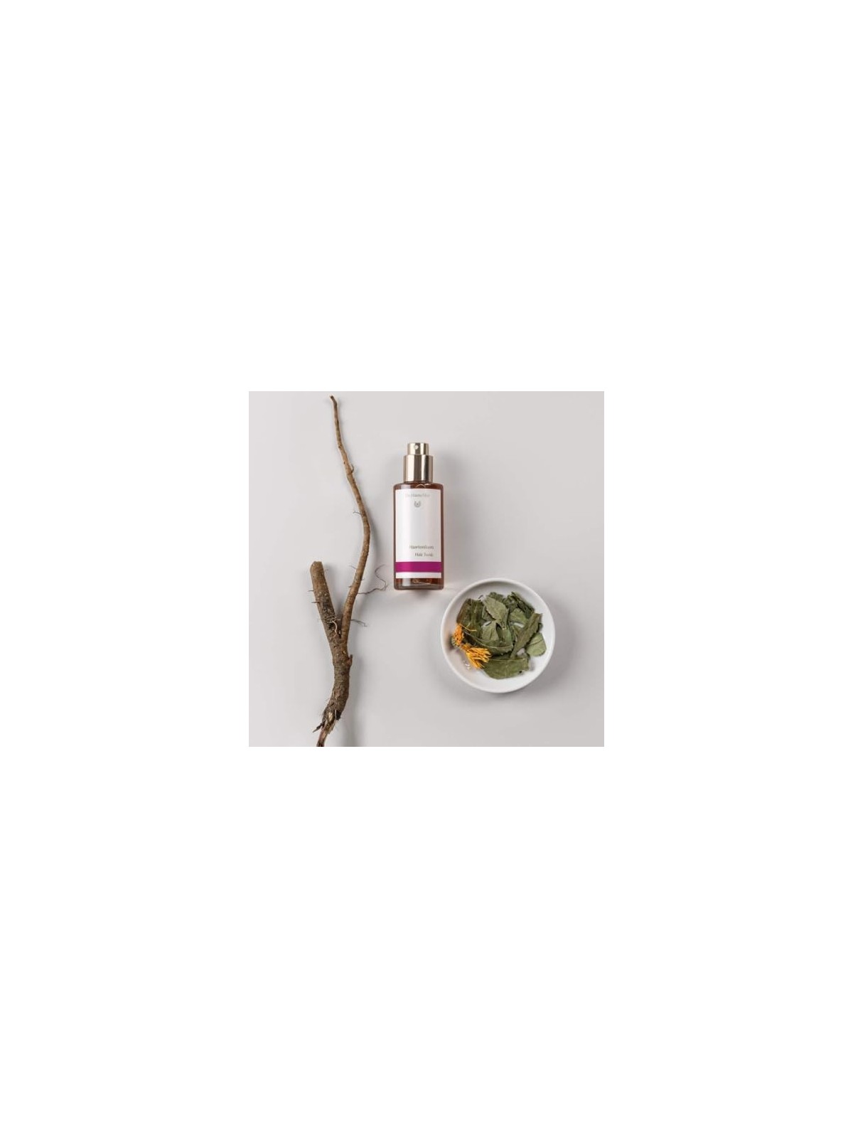 Dr Hauschka Hair Tonic 100ml