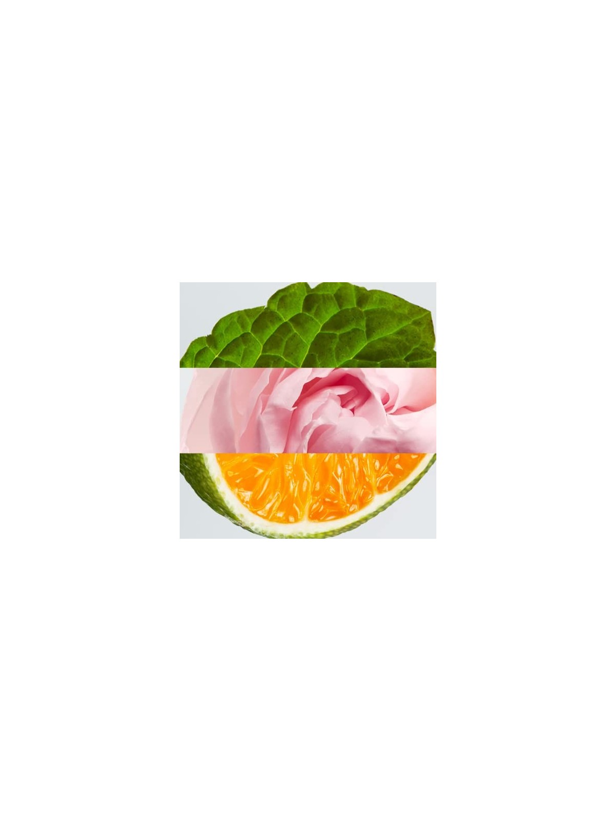 Lacoste L.12.12 Rose Eau De Parfum 50 ml donna