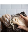 Foamie Shampoo solido con olio di cocco capelli normali Shampoo solido donna 800g
