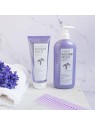 Maschera Clear Institute MATIZADOR viola 200ml donna