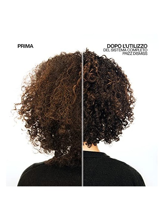 Redken Frizz Dismiss Conditioner 300ml Smooths Frizzy Hair