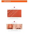 Missha Maschera pori Amazon Red Clay 110ml