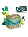 Beauterra SOLIDE Shampoo alla menta e scorza di limone 75 gr unisex