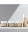 Crema notte rigenerante White Pine Restorative 40ml