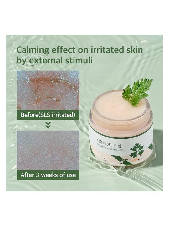 Round Lab Mugwort Calming Cream 80ml acquista 
