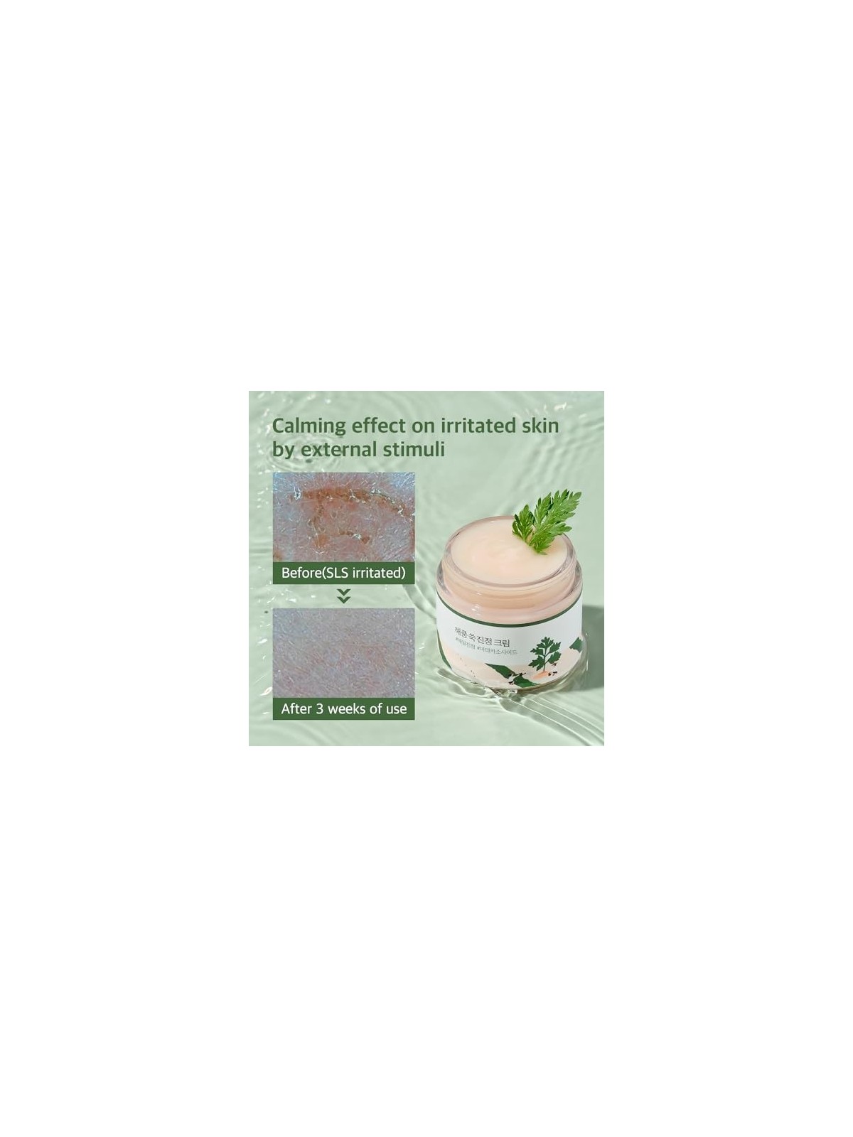 Round Lab Mugwort Calming Cream 80ml acquista 